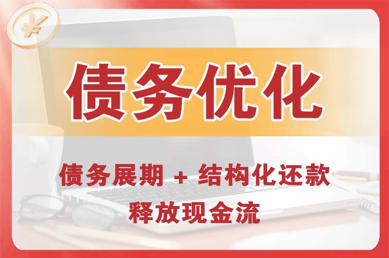 淅川债务优化