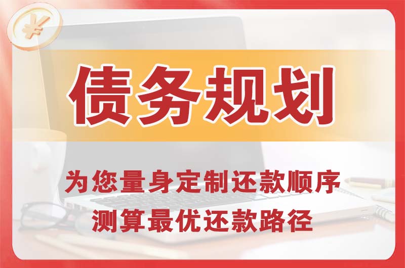 淅川债务规划
